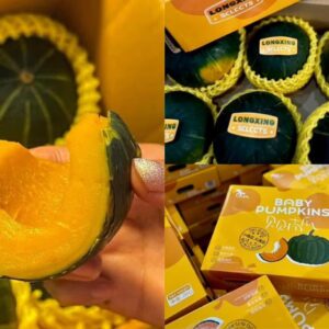 shortketxfarmsalad-Products1 ฟักทองหวาน ญี่ปุ่น