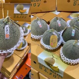shortketxfarmsalad-Products13 เมล่อนญี่ปุ่น ยูบาริ
